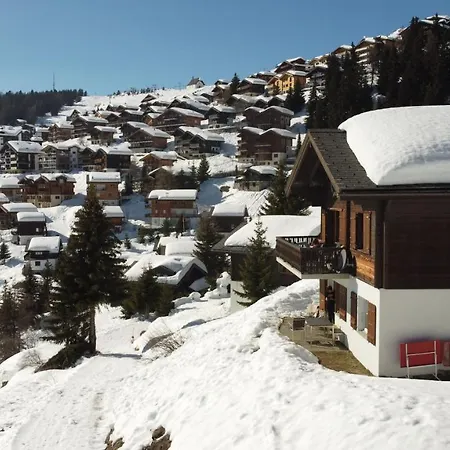 Foresta * Bettmeralp