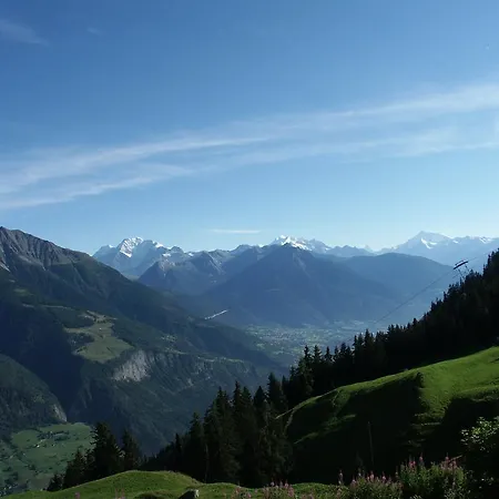 Foresta בטמראלפ