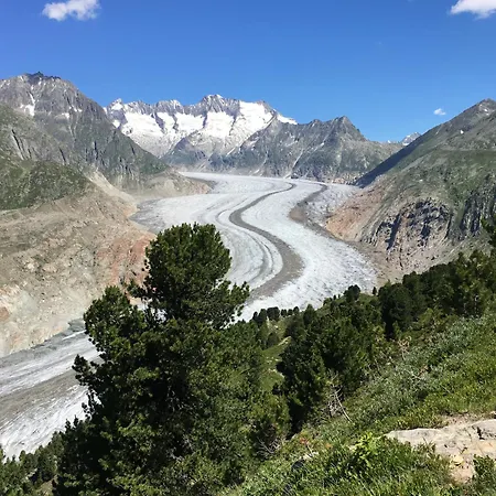 Foresta * בטמראלפ