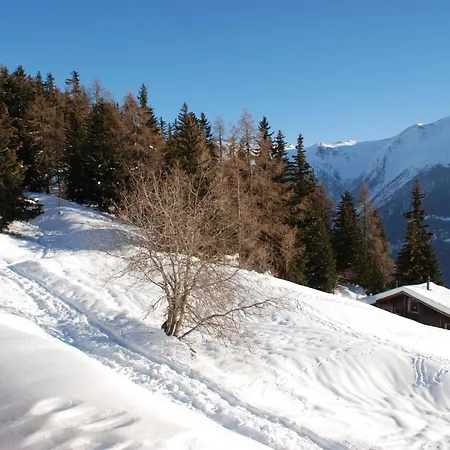 Foresta Bettmeralp